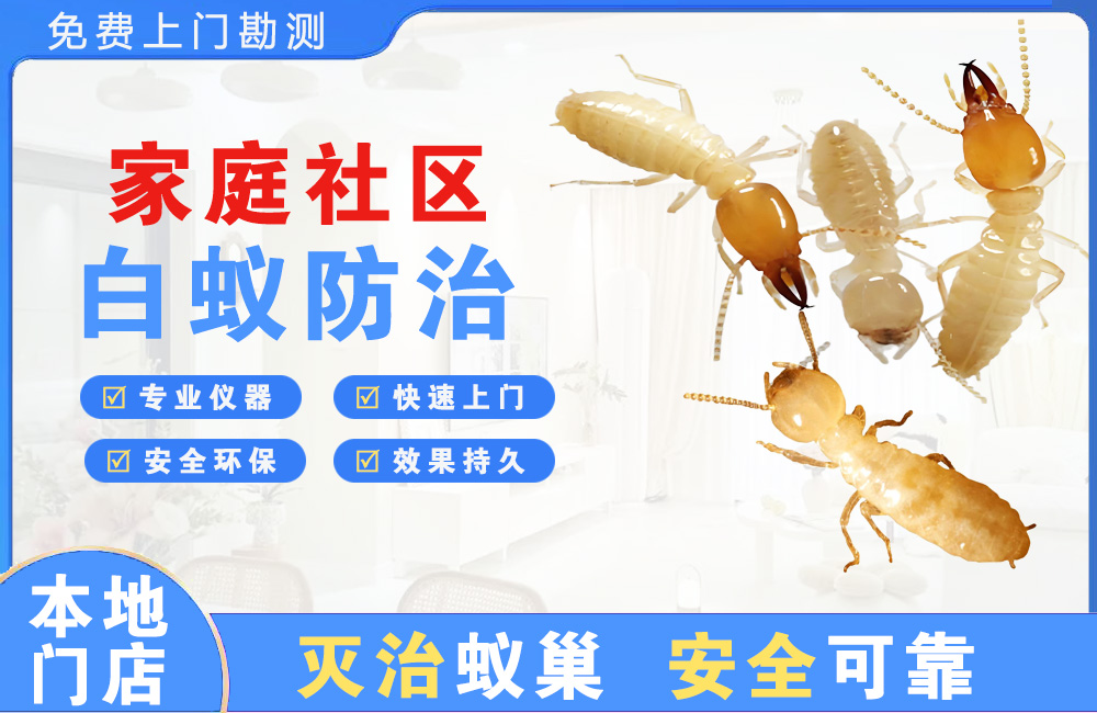 惠州家庭社区白蚁防治