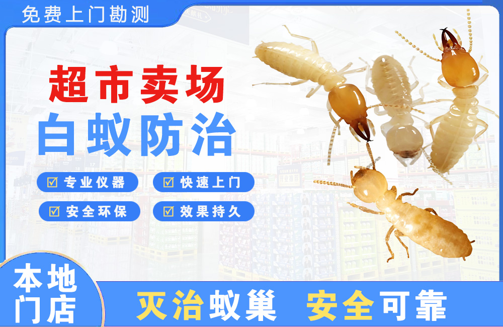 惠州超市卖场白蚁防治