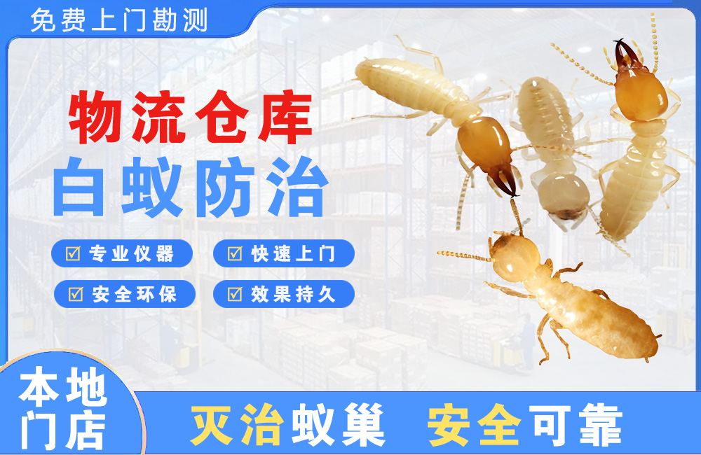 惠州物流仓库白蚁防治