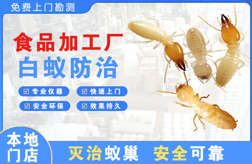 惠州食品加工厂白蚁防治