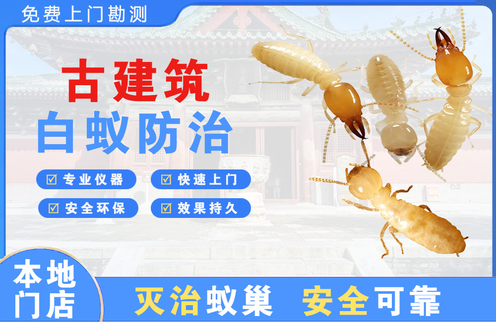 惠州古建筑白蚁防治