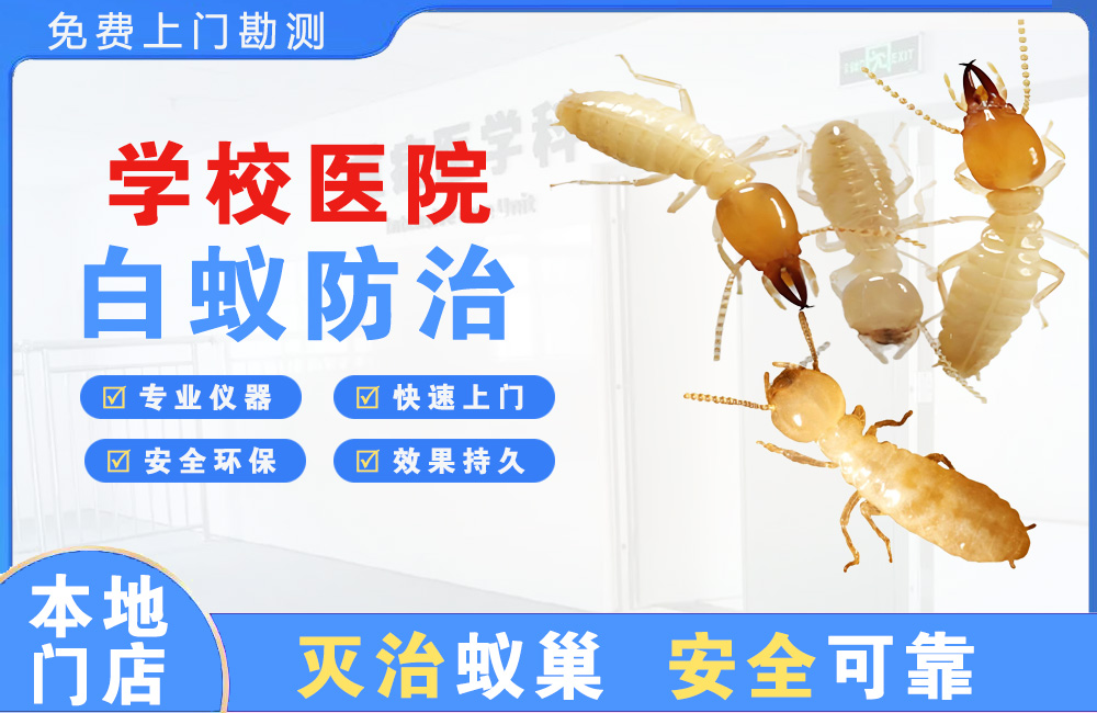 惠州学校医院白蚁防治