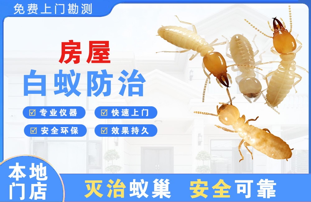 惠州房屋白蚁防治